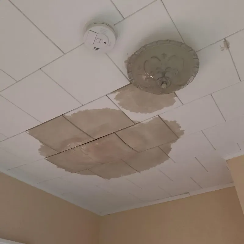 Ceiling Water Damage Repair in Clark County, OH