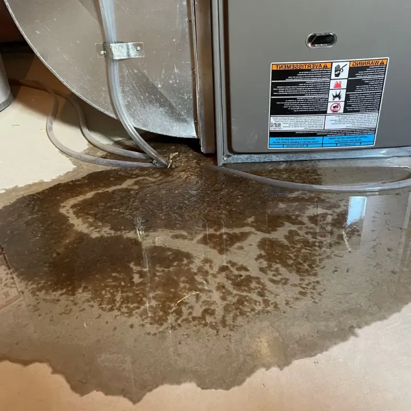 Pipe Burst and Leak Restoration in Clark County, OH
