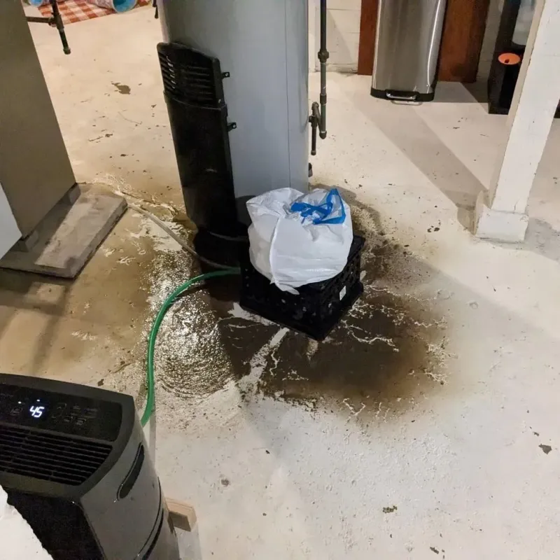 Sewage Backup Cleanup Service in Clark County, OH
